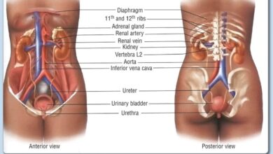 abdominal compartment syndrome