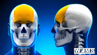 Frontal bone